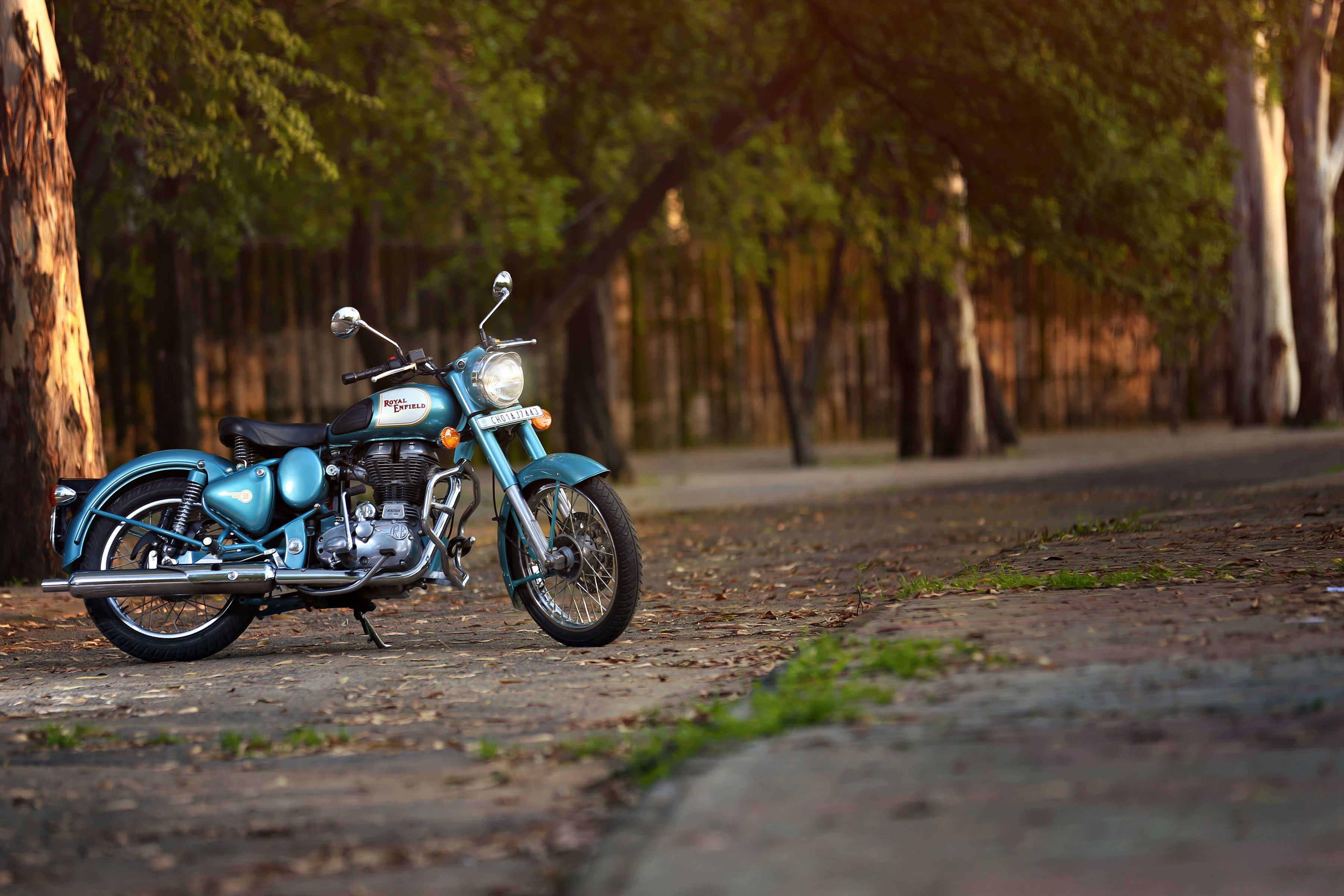 Bikes